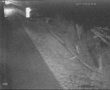 Snímek 8.11.2025 v 03:30