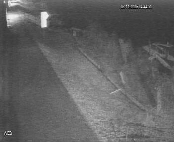 Snímek 8.11.2025 v 03:45