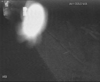 Snímek 9.11.2025 v 01:15