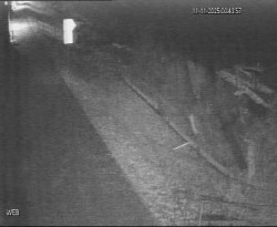 Přístaviště Hodonín