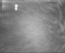 Přístaviště Hodonín