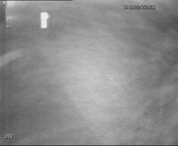 Přístaviště Hodonín