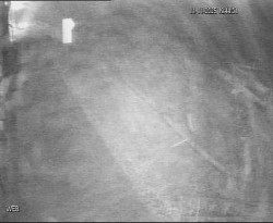 Přístaviště Hodonín