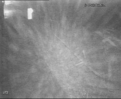 Přístaviště Hodonín