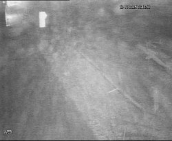 Přístaviště Hodonín