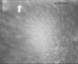 Přístaviště Hodonín