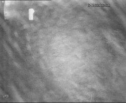 Přístaviště Hodonín