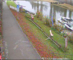 Přístaviště Hodonín