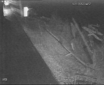 Snímek 16.11.2025 v 01:45