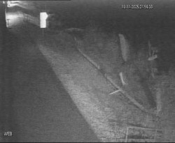 Přístaviště Hodonín