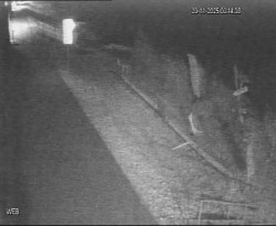 Přístaviště Hodonín