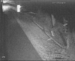 Přístaviště Hodonín