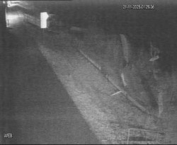 Přístaviště Hodonín