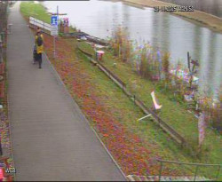 Přístaviště Hodonín