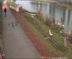 Přístaviště Hodonín