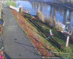 Přístaviště Hodonín