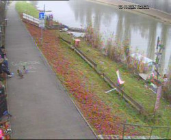 Přístaviště Hodonín