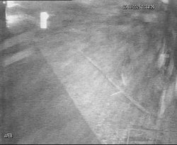 Přístaviště Hodonín