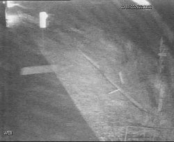 Přístaviště Hodonín