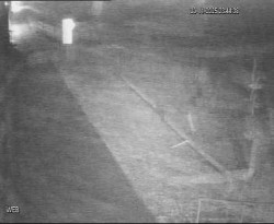 Přístaviště Hodonín