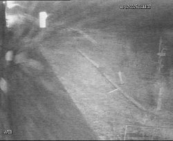 Přístaviště Hodonín