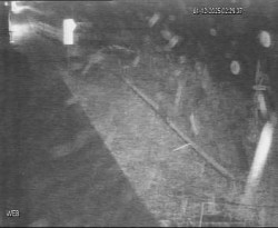 Přístaviště Hodonín