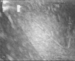 Přístaviště Hodonín