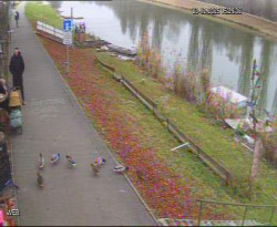 Přístaviště Hodonín