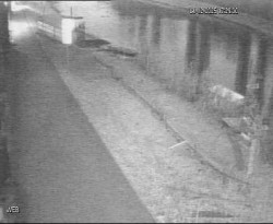 Přístaviště Hodonín