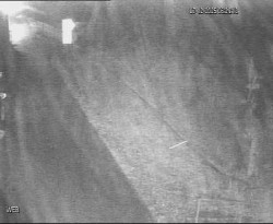 Přístaviště Hodonín