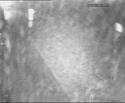 Přístaviště Hodonín