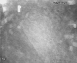 Přístaviště Hodonín