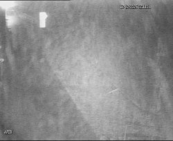 Přístaviště Hodonín