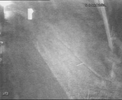 Přístaviště Hodonín