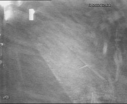 Přístaviště Hodonín