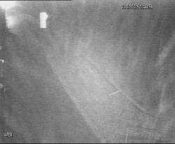 Přístaviště Hodonín