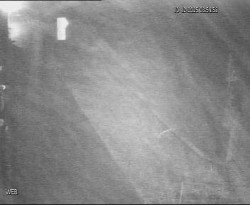 Přístaviště Hodonín