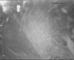 Přístaviště Hodonín