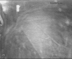 Přístaviště Hodonín