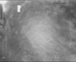 Přístaviště Hodonín