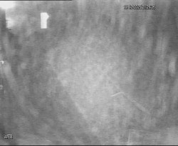 Přístaviště Hodonín