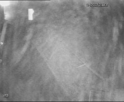 Přístaviště Hodonín