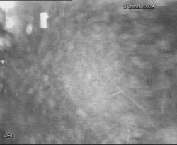 Přístaviště Hodonín