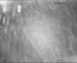 Přístaviště Hodonín