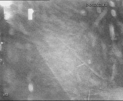 Přístaviště Hodonín