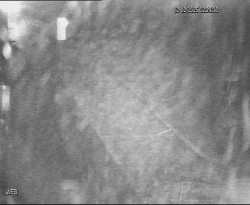 Přístaviště Hodonín