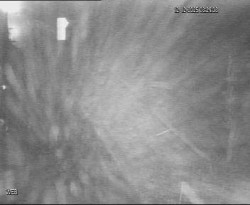 Přístaviště Hodonín