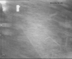 Přístaviště Hodonín