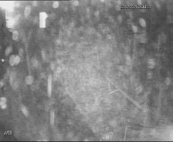 Přístaviště Hodonín