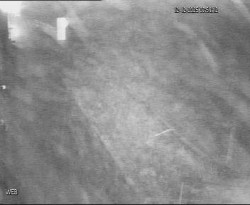 Přístaviště Hodonín